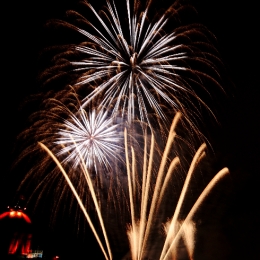11-decembre-2010-royal-16