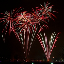 18-decembre-2010-bem-05