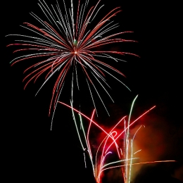 ste-rose-en-blanc-2010-1