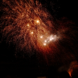 ste-rose-en-blanc-2010-10