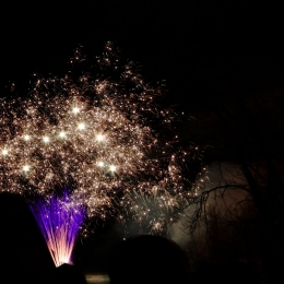 ste-rose-en-blanc-2010-8