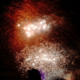 ste-rose-en-blanc-2010-9