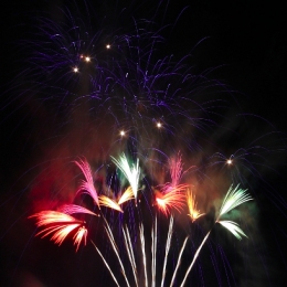3-decembre-2011-fae-04